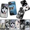 Phone Cover Animal Lovely Husky Dog Casing for Apple iPhone 17 16 11 Pro XS Max XR 6 7 8 Plus + 16E SE 2020 Air 5 8+ Case