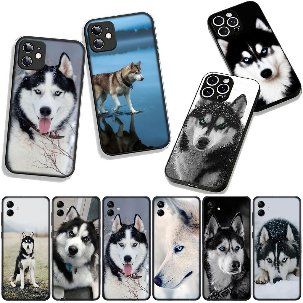 Phone Cover Animal Lovely Husky Dog Casing for Apple iPhone 17 16 11 Pro XS Max XR 6 7 8 Plus + 16E SE 2020 Air 5 8+ Case