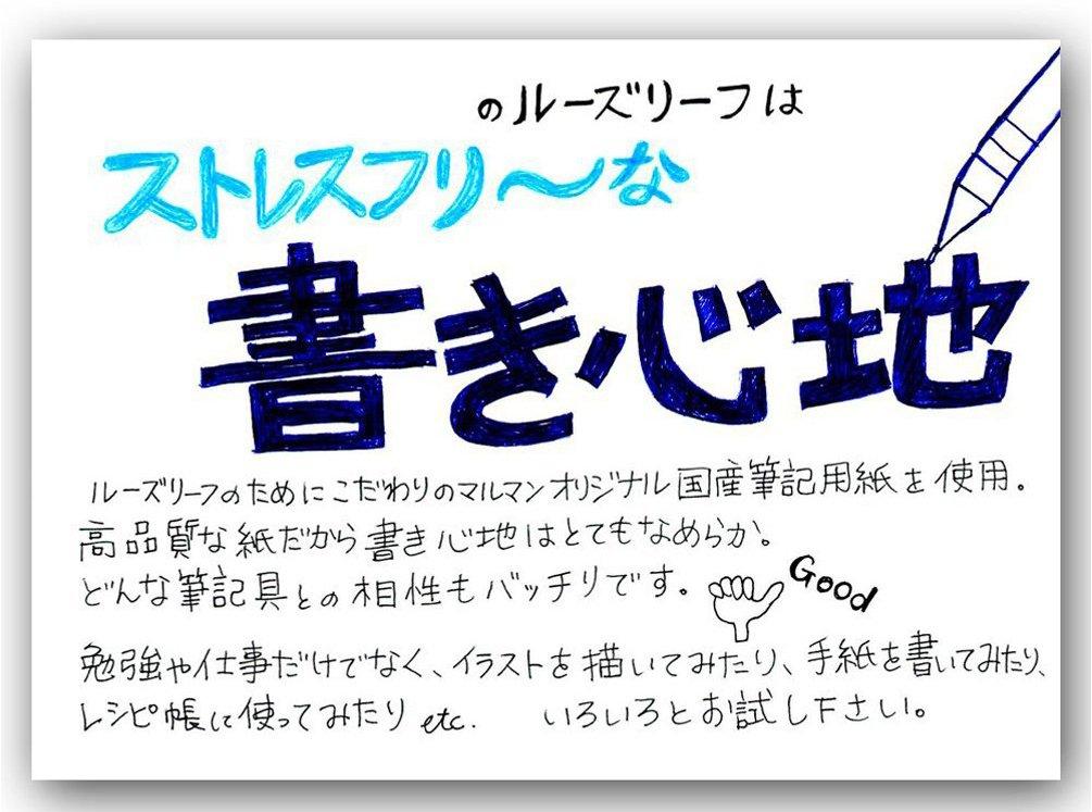 Maruman B5 Loose Leaf Color Assortment L1231-99