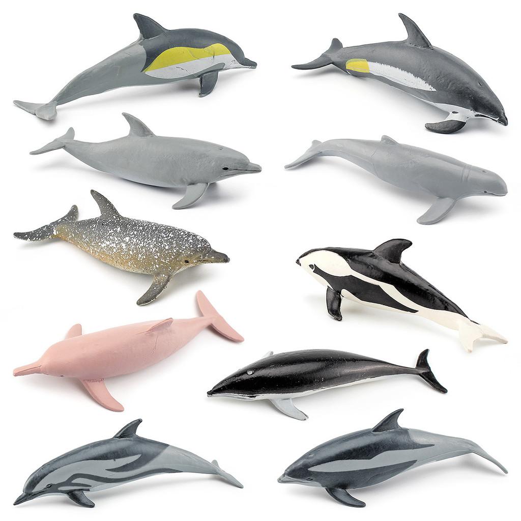 

Marine Mammal Dolphin Model Pvc Realistic Animal Decor For Marine Enthusiasts