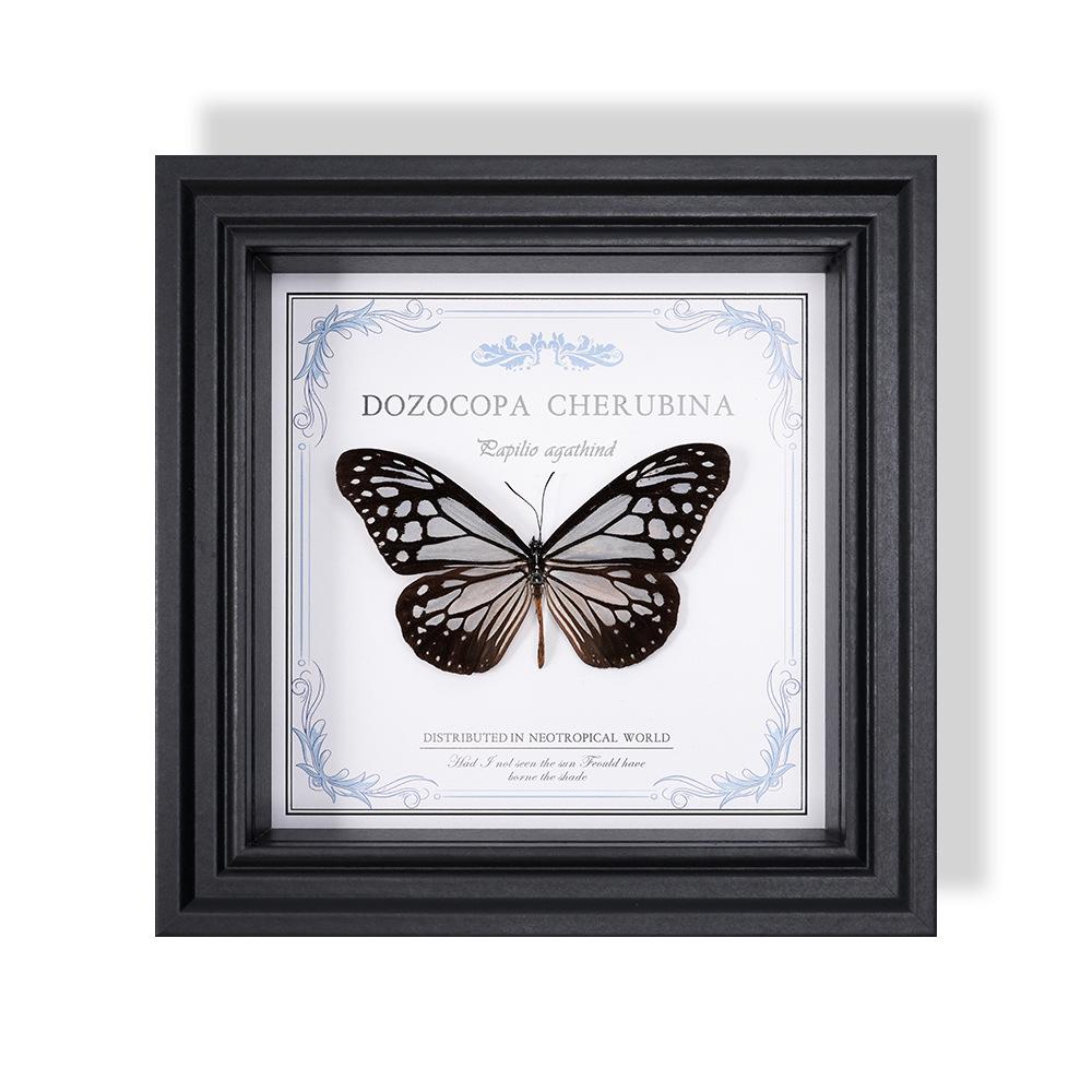 Wall-Mounted Butterfly Specimen Photo Frame: Home Decor & Gift for Valentine's Day, Qixi, Birthday, Couples & Insect Lovers
