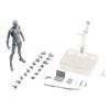 With Articulated Joints Sketching Painting Drawing Manikin Model Movable Joints Male Female Mannequin Poseable Figure