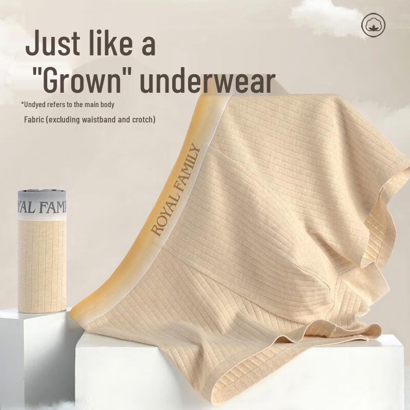 Xiahu Shijia Men's 5A Antibacterial Seamless Boxer Briefs 3-Pack