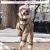 High-necked Whippet Clothes Italian Greyhound Bellington Dog Winter Cotton-padded Clothes Four Legged Dog for Small Medium Dogs