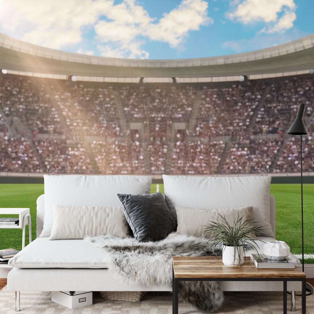 Photomural Soccer Stadium Structural Vinyl 450x300