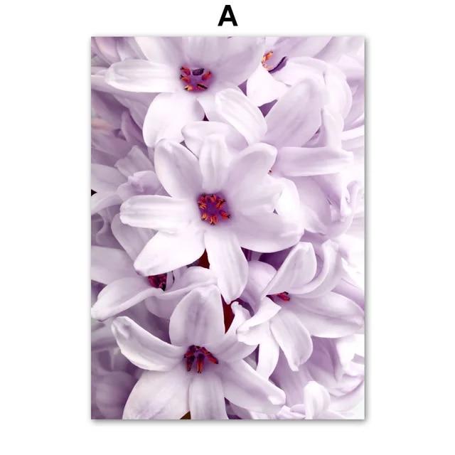 Dandelion Reed Purple Flower Sea Grass Sunset Nordic Poster  Pictures Wall Art Print Canvas Painting Decoration For Living Room