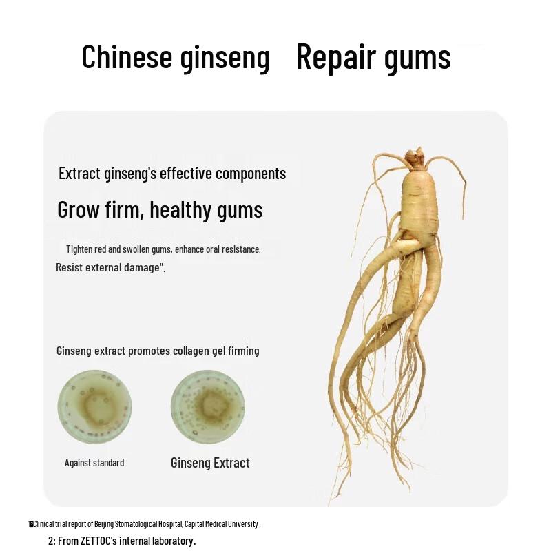 Ebisu X Zettoc Ginseng & Mint Fluoride Toothpaste