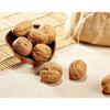 Vedaka Premium Inshell Walnuts, 500g