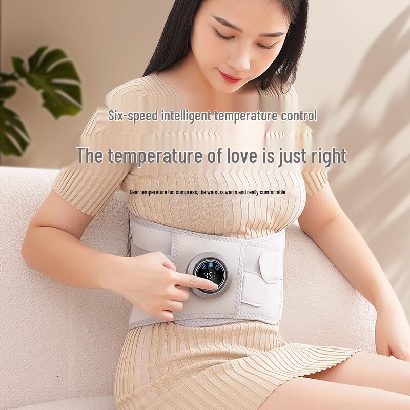 SENBAIWEI Electric Heating Massage Waist Belt CN plug (adapter included)