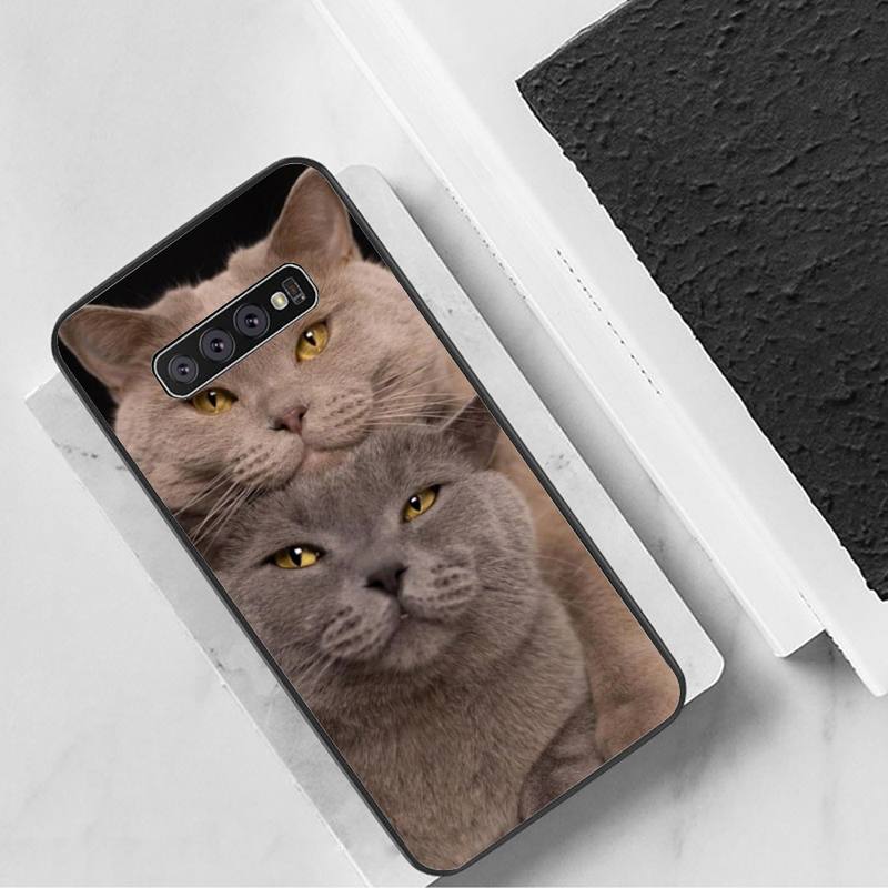 Cute Cat Phone Case For Samsung Galaxy S7 Edge Plus S9 S20Plus S20ULTRA S10lite S225G S10 Case