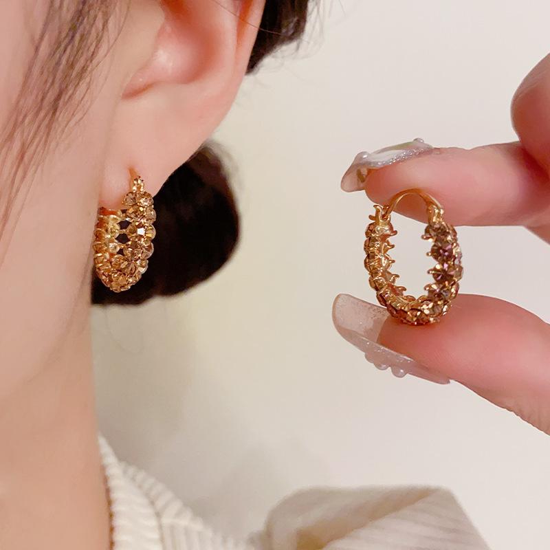 Осенние и Зимние Винтажные Нишевые Изысканные Серьги 1 pair кофейный