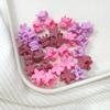 30Pcs Girls Newborn Cute Mini Cartoons Hair Clips Claw Flower Small Hair Claws Children Sweet Hairpins Baby Hair Accessories