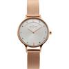 SKAGEN ANITA Series Women's Wrist Watch SKW2151 SKW2673 SKW2149 SKW2720 SKW2718 Gift Casual Business Sports Student