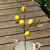 Plastic Artificial Lemon Branch DIY Fake Plants  Restaurant Hotel Decoration