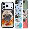 Huse pentru telefoane – Huse tip bumper pentru telefon