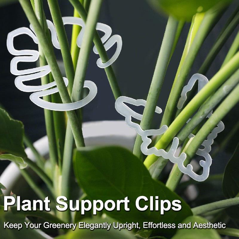 Acrylic Plastic Clamp For Monstera Plant Home Potted Plant Fixing Shape Clips Plant Support Cage Flower Upward Growing Rack