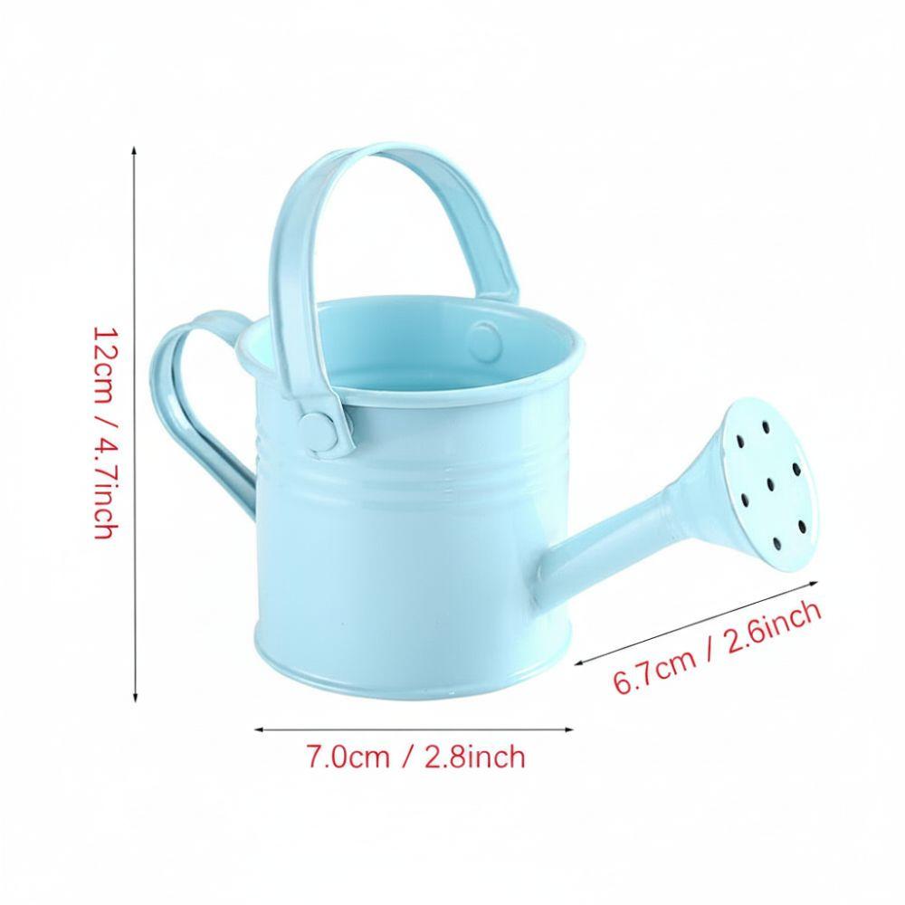 Children Mini Vintage Water Spraying Pot Watering Can Flower Kettle Metal
