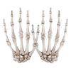 Realistic Plastic Skeleton Hands Life Severed Design Halloween Props for Haunted House Scene Party Horror Decoration Accessories
