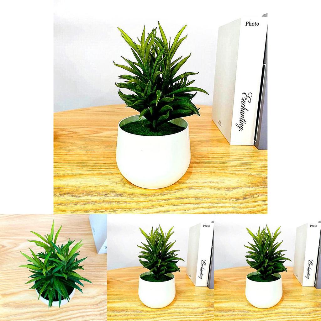 Fake Succulent Plant Pot With Pvc Material For Home Decor And Office Display