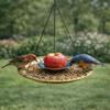 Vintage Design Hanging Bird Feeder Metal Parrot Feeder Tray Durable Bird Food Dispenser  Courtyard