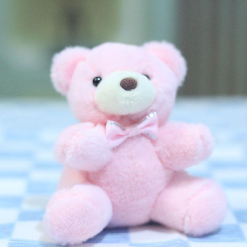 Niedlicher Teddybär Plüschtier Schlüsselanhänger Entzückender Cartoon Bär Anhänger zum Aufhängen für Taschen und Schlüssel