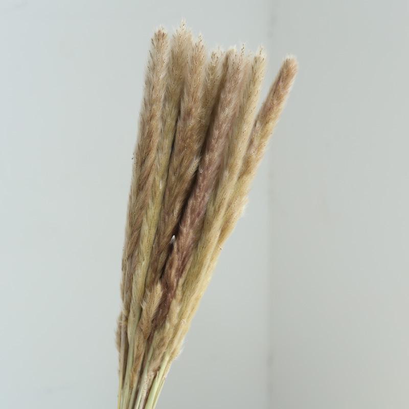 Yunnan Dried & Immortal Flowers Bouquet: Baby's Breath, Roses, Forget-Me-Nots for Home & Homestay Decor