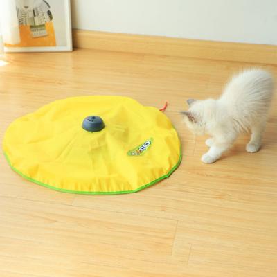 Gatos – Juguetes para gato