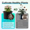 4PCS Thickened Fabric Garden Potato Grow Container Bag Plant Seed Growing Bag Flower Pots Vegetable Planter Tool with Handle