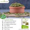 Attar Ayurveda Raw Pumpkin Seeds 250 g Unsalted Unroasted Protein Fiber Rich Healthy Snack Superfood Seeds For Daily Eating