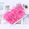 10-15Cm Tie-Dye Ostrich Hair Cloth Edge Clothing Accessories Material Multicolor Ostrich Hair Lace Cloth Strap