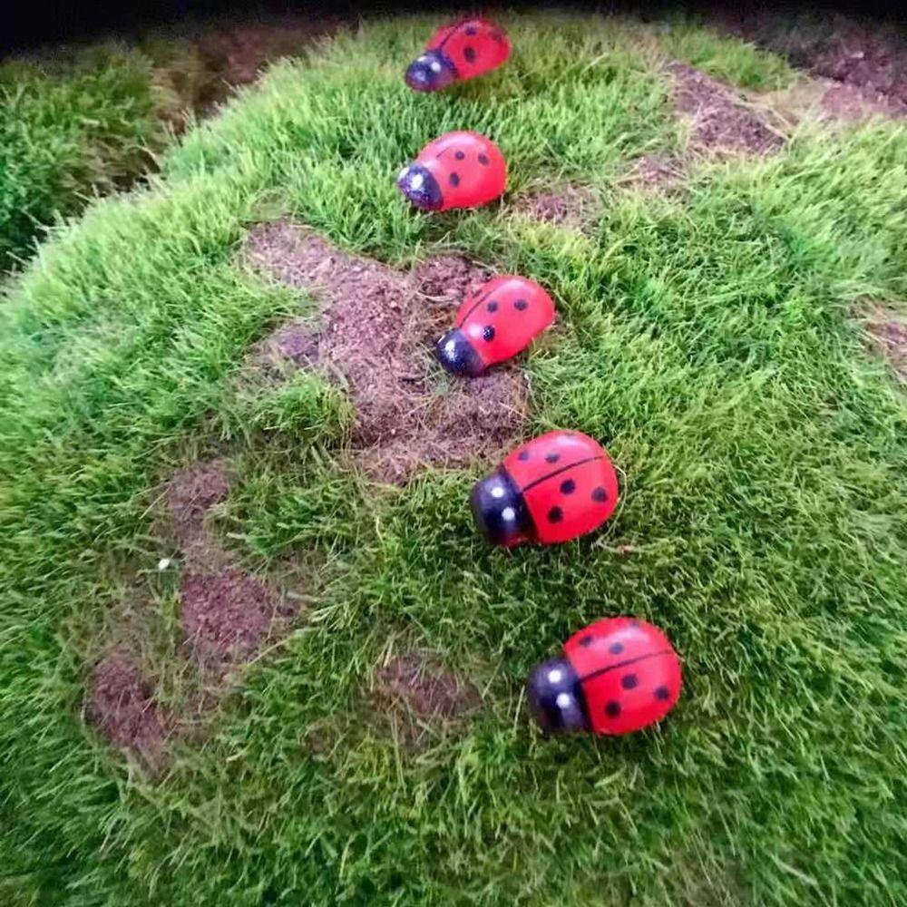 5pcs Handmade Resin Ladybug DIY Ladybug Miniatures Cartoon   Phone Case Patch