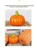 Pumpkin Harvest Festival Props: Farmhouse Halloween Decoration for Mall Displays and Room Ornaments