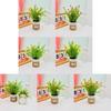 Artificial Plant Miniature Green Houseplant For Home Office And Hotel Decor
