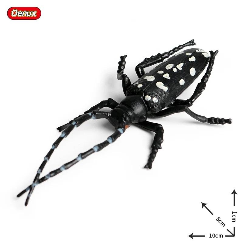 Oenux Simulation Dragonfly Grasshopper Centipede Wild Insect Animals Model Action Figures Miniature Education Collection Kid Toy