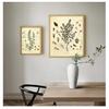 Poster Parsley Sage Rosemary Thyme Culinary Wall Art Picture Canvas Painting Kitchen Decor Spices Herbs Print Vintage Botanical No Frame