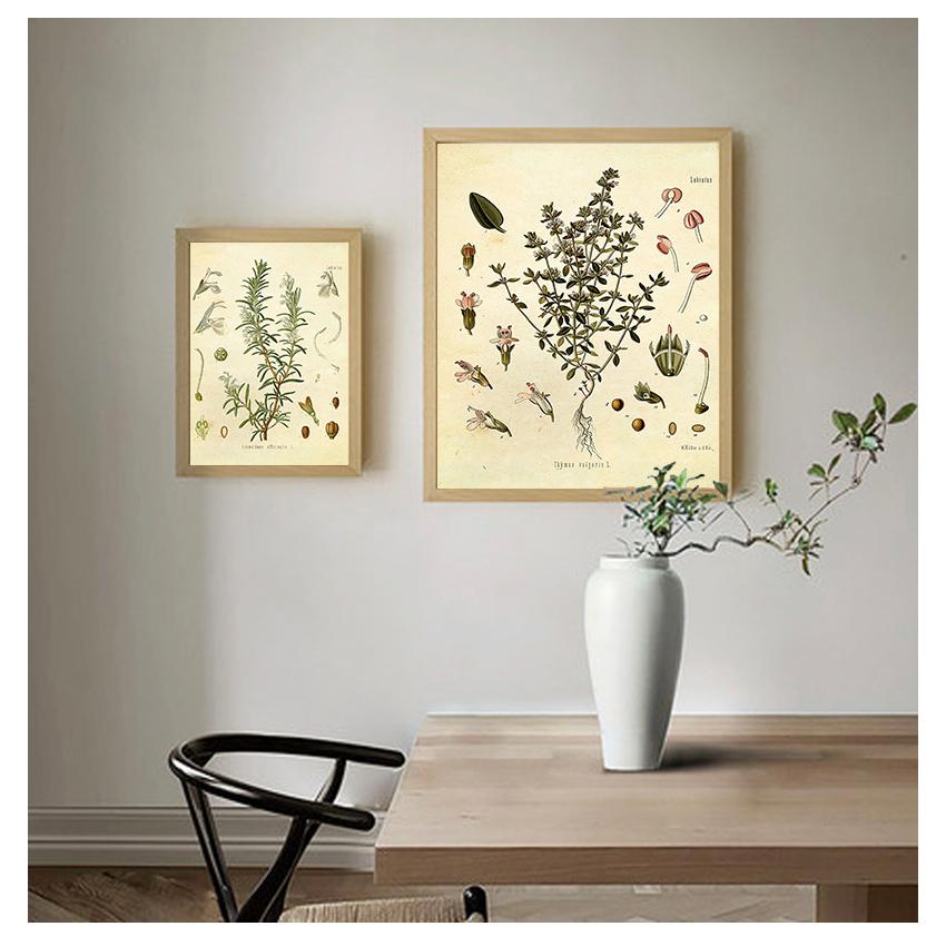 Poster Parsley Sage Rosemary Thyme Culinary Wall Art Picture Canvas Painting Kitchen Decor Spices Herbs Print Vintage Botanical No Frame