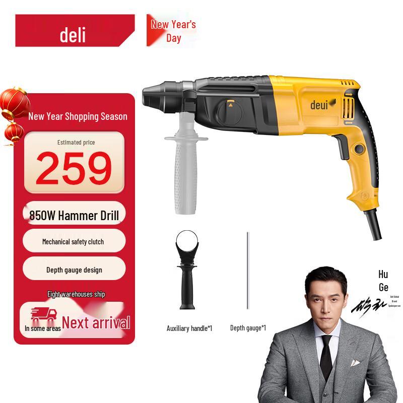 Deli Electric Rotary Hammer Drills and Demolition Picks CN plug (adapter included)