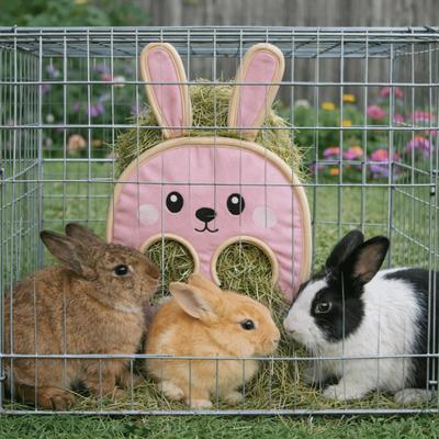 Productos para mascotas – Roedores