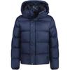 Burberry Down Jackets Men's Indigo Purple Hooded (Non-detachable) Moderate Straight Fit 81052281