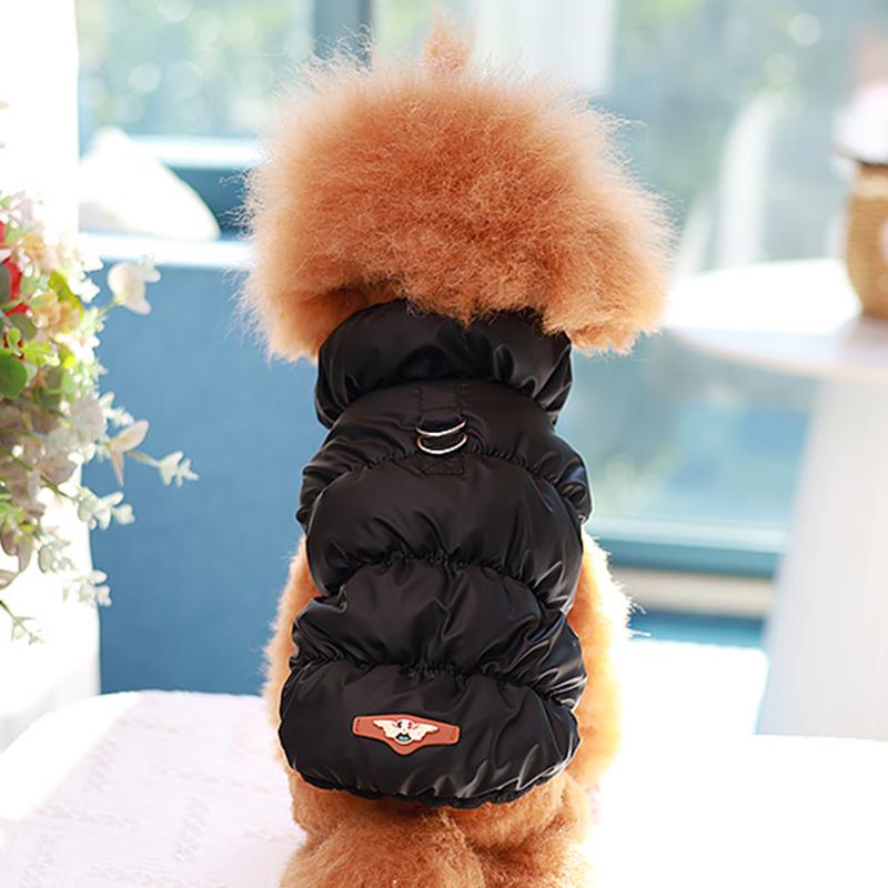 Orange Cat Down Jacket with Traction Buckle Winter Warm Pet Clothes for Cats Gotas Kitten Sphynx Coats Clothing vetement chat