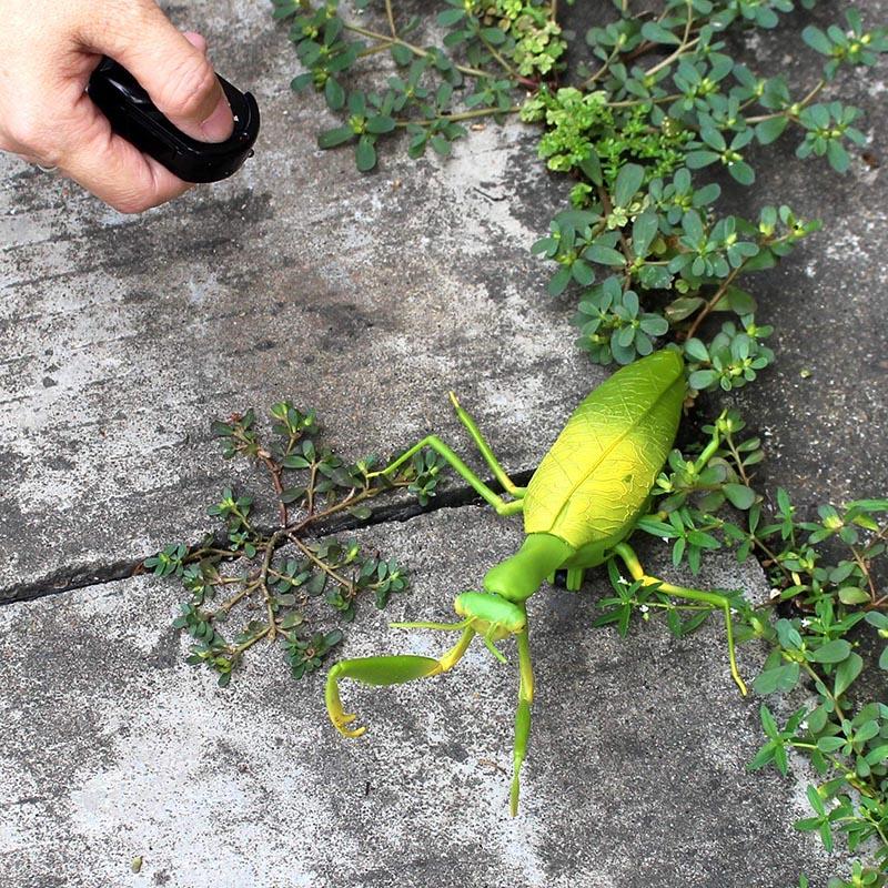 Non-Toxic Rc Animal Robot Antistress Insect Toys Infrared Simulation Spider Bee Fly Mantis Electric Toy For Children Prank Insects Pet Toy