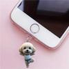 Acrylic Flat Puppy Dust Plug