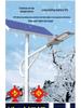 Super Bright LED Solar Street Light with 6m Pole & Chinese Knot Design for Outdoor & Rural Roads