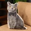 Plüsch Lebensechte Tiere Kissen Spielzeug Gefülltes Kissen Kissen für Sofa Kawaii Heimdekoration Spielzeug für Mädchen Katzen Hunde Kissen Echtes Spielzeug