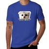 I'm Not a Cat T-Shirt quick-drying sports fans t shirt for men