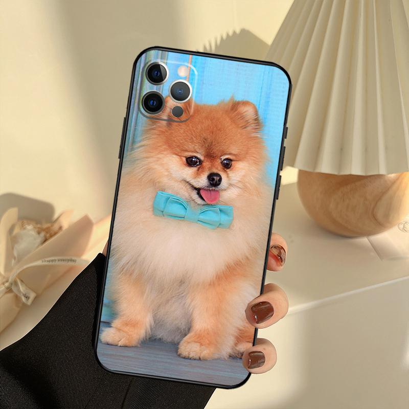 Pomeranian Dogs Dog Colorful Phone Case For iPhone 13 16 15 11 12 14 17 Pro Max 12 mini 15 16 Plus 16e 17 Air Cover Funda