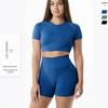 European & American Quick-Dry Seamless Yoga Set: Short-Sleeve Top & High-Waisted Hip-Lift Shorts