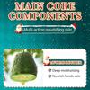Christmas Butter 40g Fruit Hyaluronic Acid Moisturizing Care Stick Moisturizing Cream Skin Care Products