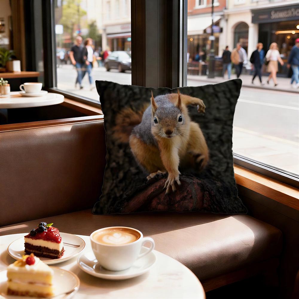 cute animal squirrel Cushion Cover Decorative Cushion Cushions Covers Cover Sofa x Pillow Piece x x Pillowcase