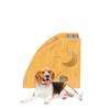 In-Stock Wooden Pet Climbing Steps & Ramp: Assist Stairs for Dogs & Cats